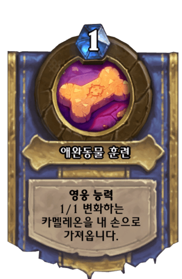 애완동물 훈련