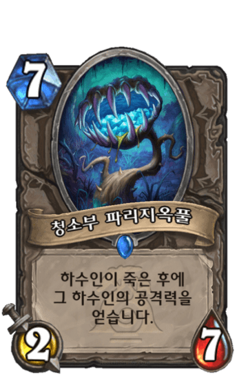 청소부 파리지옥풀