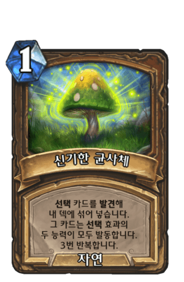 신기한 균사체