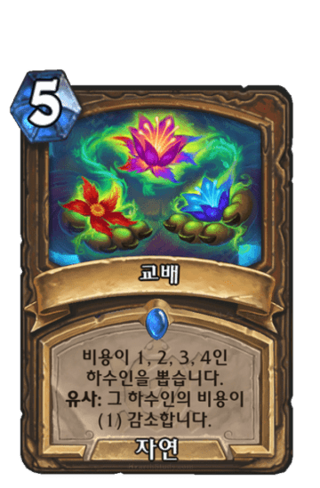 교배